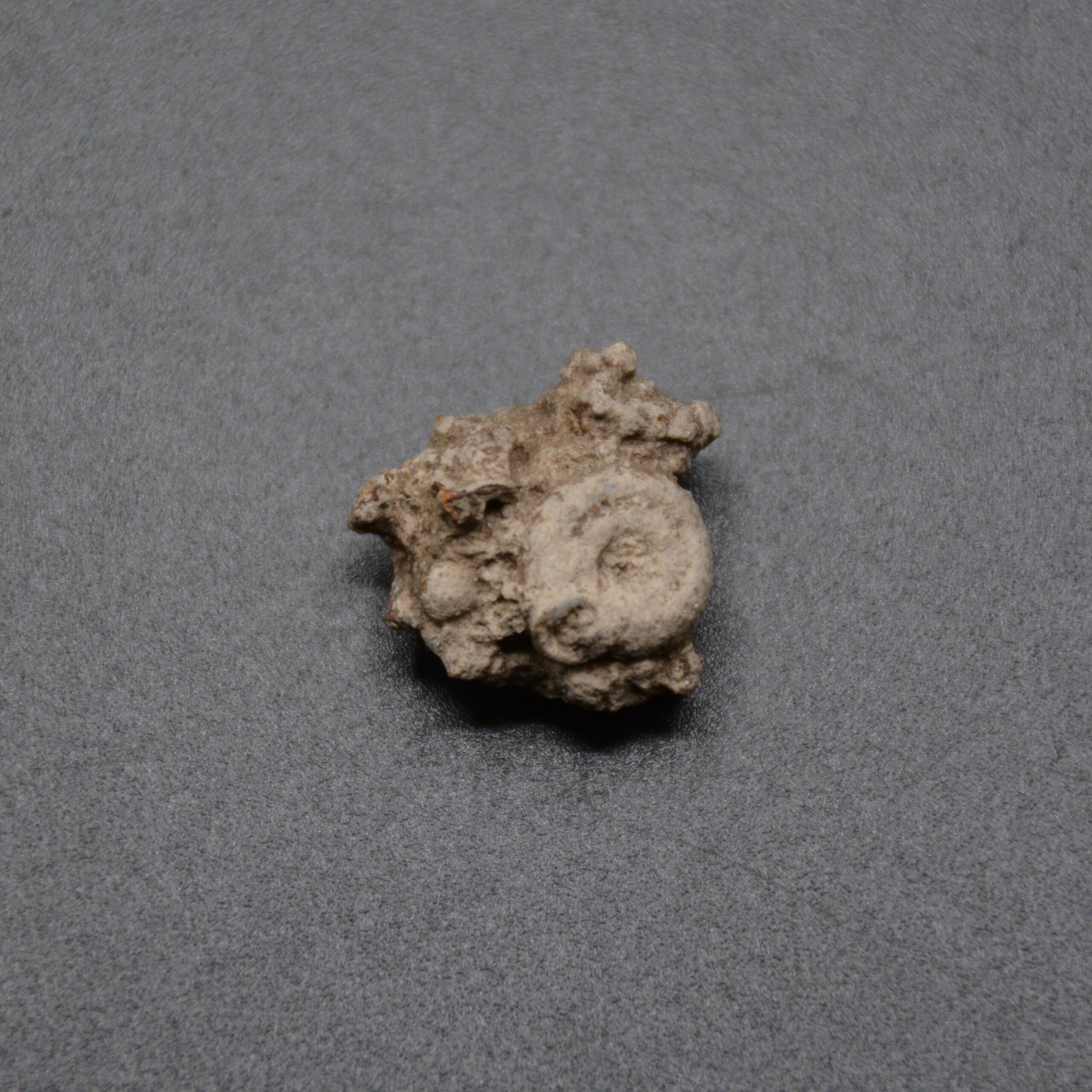 August 2024 Seminole Tribal Historic Preservation Office August 2024 Seminole Tribal Historic Preservation Office