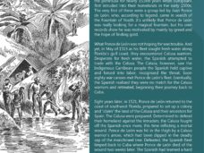 {{brizy_dc_image_alt entityId=