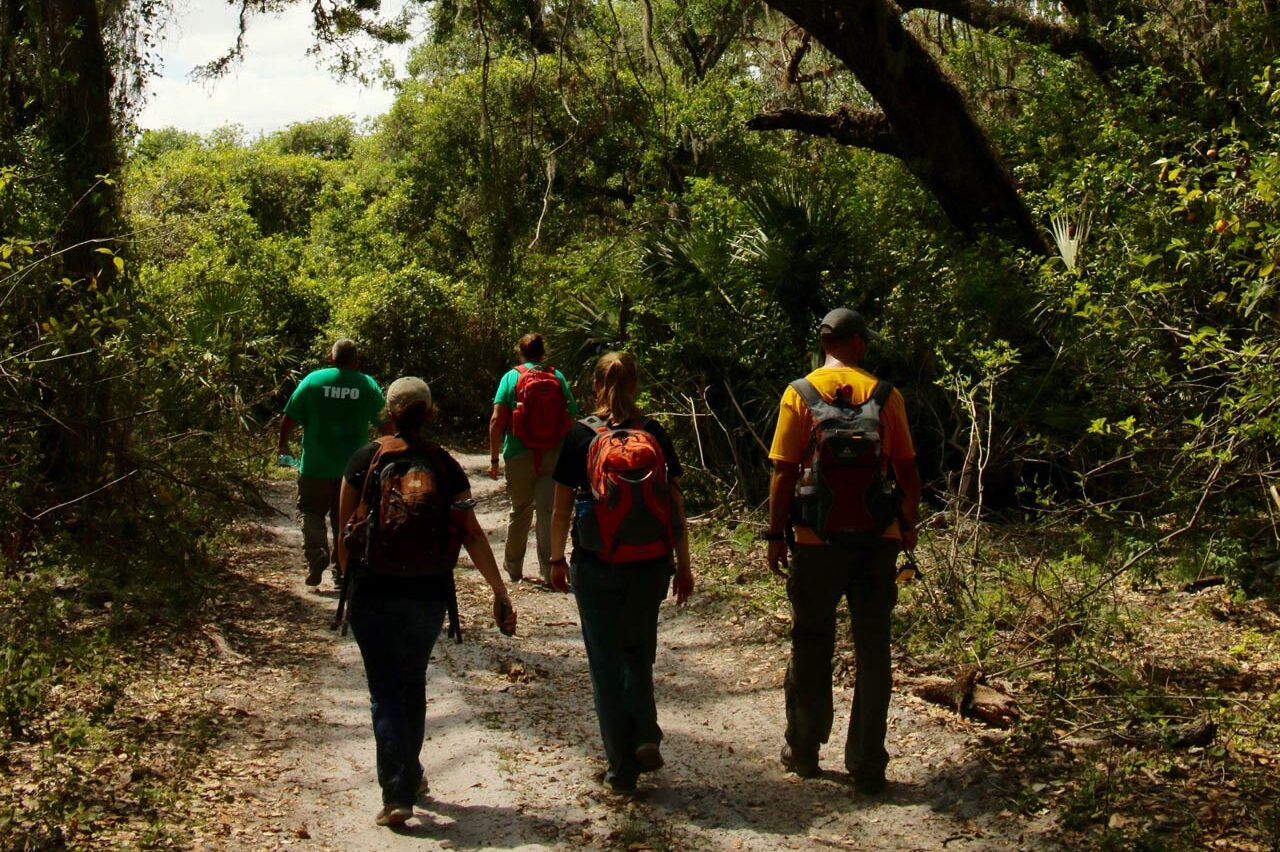 The TAS team hiking out to investigate some tree islands. Tree Island Emergence Research Project — Seminole Tribal Historic Preservation Office