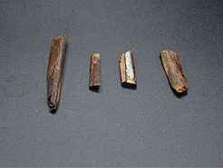October 2021 Artifact of the Month Thumbnail Image — Seminole Tribal Historic Preservation Office