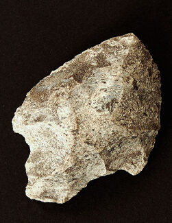 Three Separate Artifacts — Collections Section — Seminole Tribal Historic Preservation Office