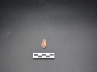 {{brizy_dc_image_alt entityId=