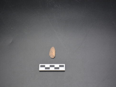 {{brizy_dc_image_alt entityId=