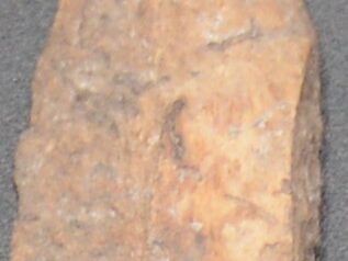 {{brizy_dc_image_alt entityId=