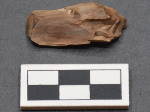 {{brizy_dc_image_alt entityId=