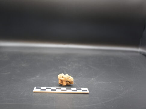 {{brizy_dc_image_alt entityId=